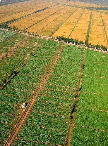 季风水田农业分布_季风水田农业的区位条件_季风水田农业生产条件
